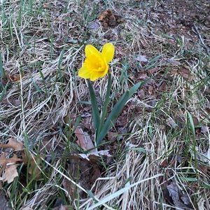 Meet your Posher, Jann